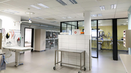 Déiereklinik Krakelshaff - Bettembourg 1 AF1QipOMBN POzldyd8uCE liwtgZVAc18lEAGaMTSQAw426 h240 k no
